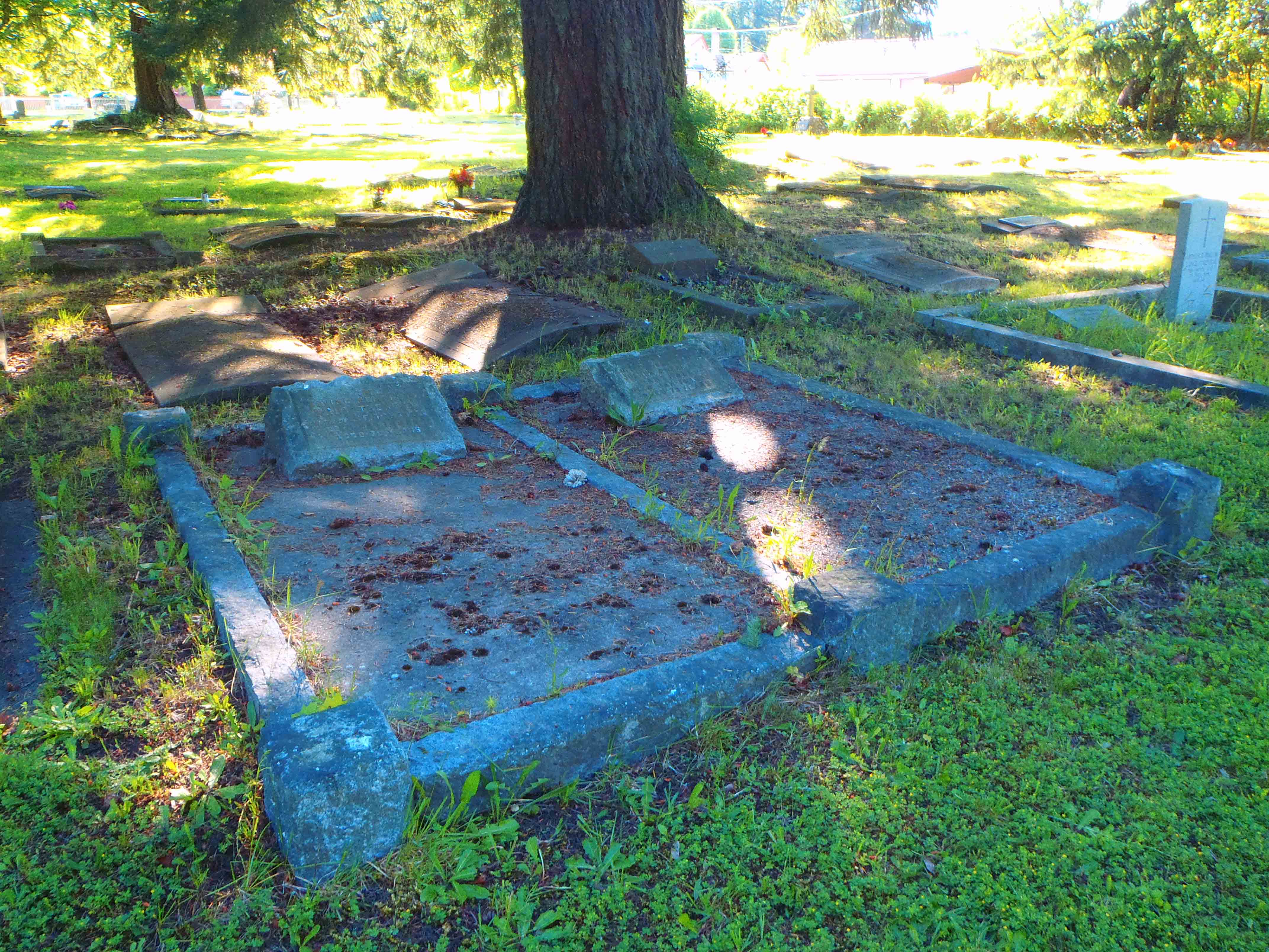 James Freman Marshall grave